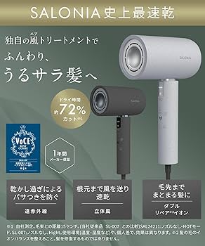 SALONIA Air Treatment Dryer ストーングレー SALONIA（サロニア) / エアトリートメントドライヤー ストーン